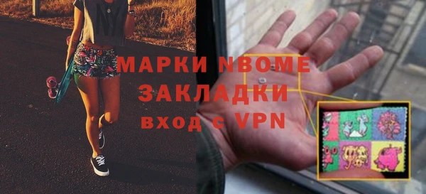 индика Елизово