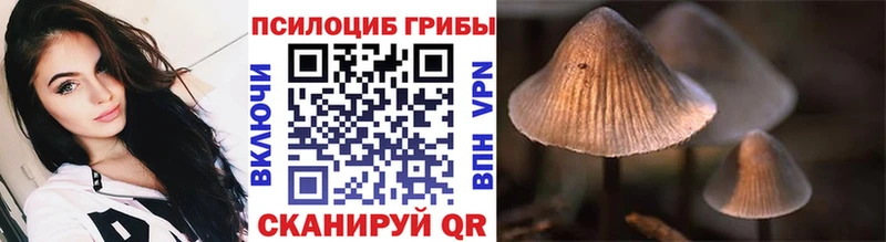 Псилоцибиновые грибы мухоморы  Старая Русса 